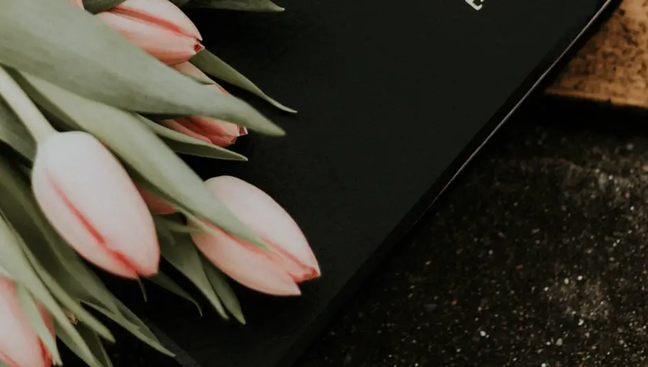 how does religion shape cultural landscape