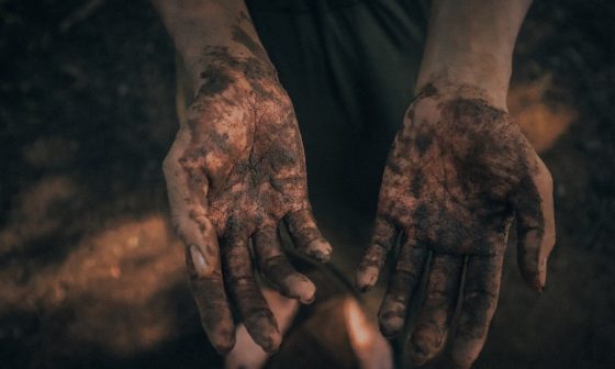 how to stop shrubs from growing back