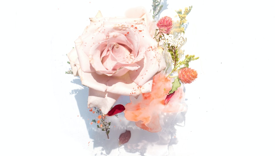 When To Prune Rose Bushes? The Ultimate Explanation