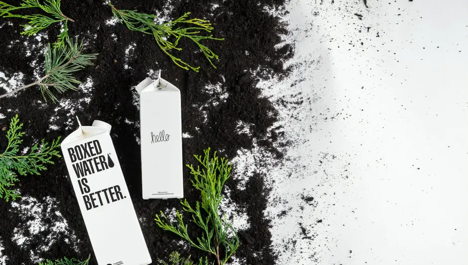 When To Plant Lettuce Seeds Zone 6? Complete Explanation