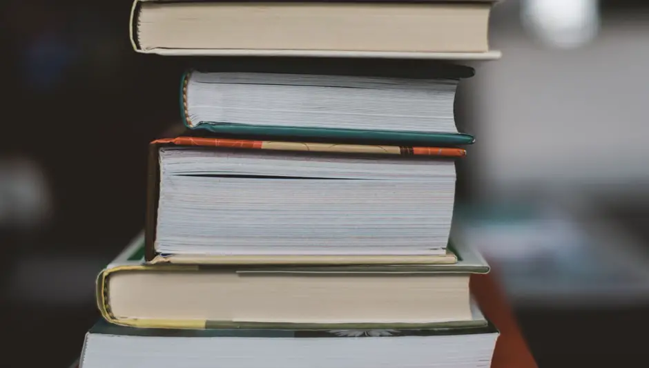 Do Tree Branches Grow Back After Cutting (Check This First)