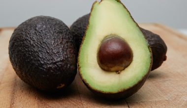 how to plant an avocado seed in the ground