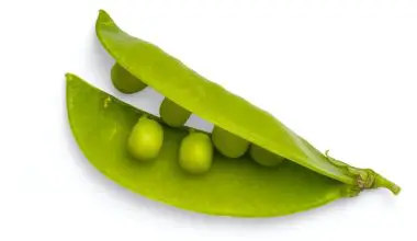 are peas perennial or annual