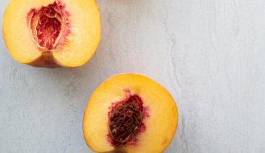 how to know when to harvest peaches