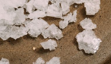 how to grow a salt crystal garden