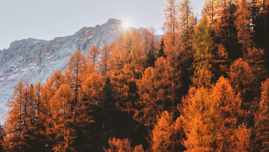 How Long Does Fall Foliage Last In New England?