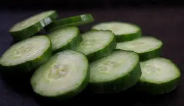 how often should i fertilize my cucumber plants