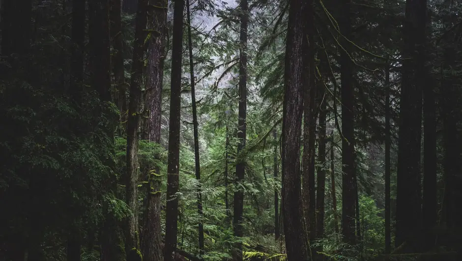 what planting zone is whidbey island