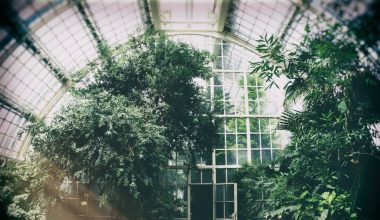 where to place a greenhouse