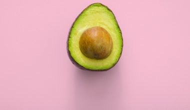 what kind of avocado tree do i have