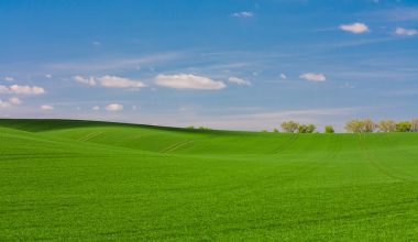 how to prepare your lawn for fall seeding