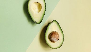 how to grow an avocado from a seed