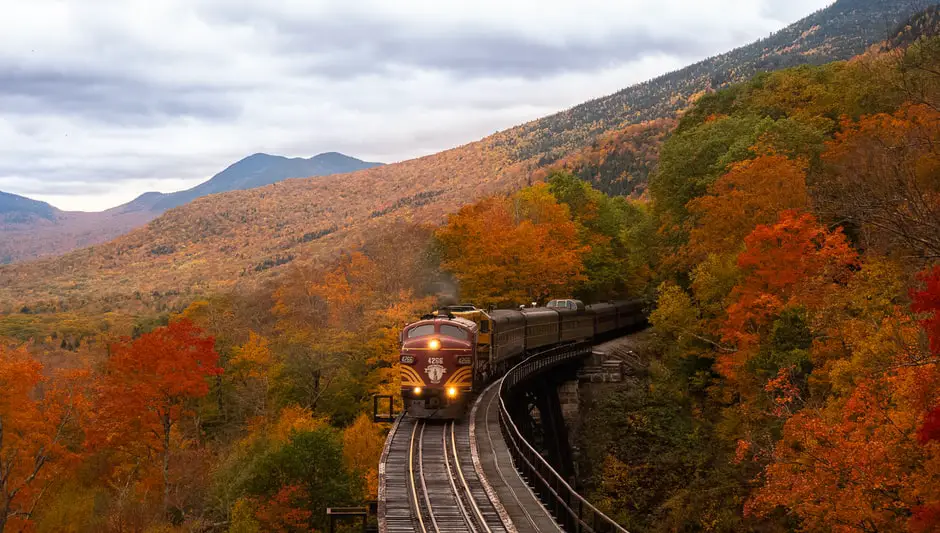 where is peak fall foliage