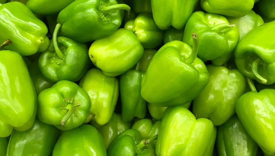 do pepper seeds need light to germinate