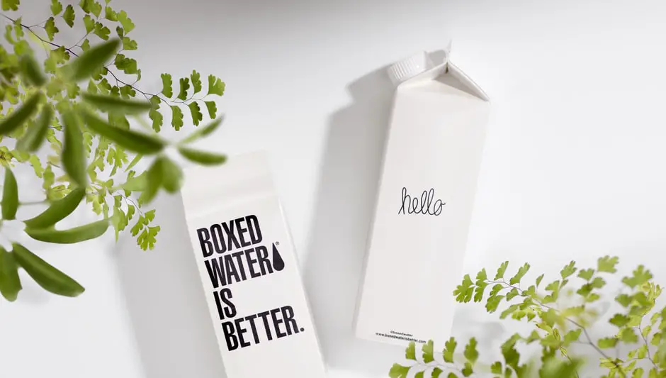 Can Roses Grow In Shade? (Fully Explained Inside!)