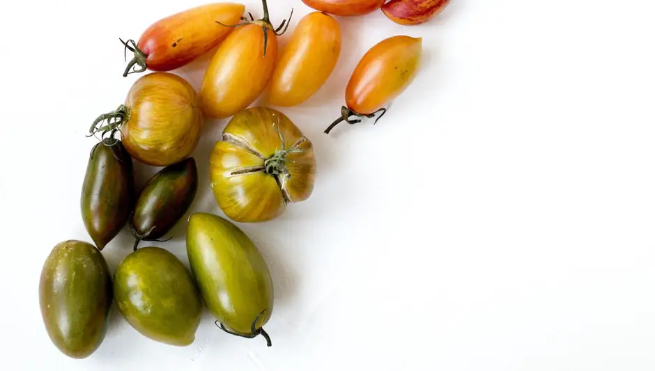 what to put in a small vegetable garden