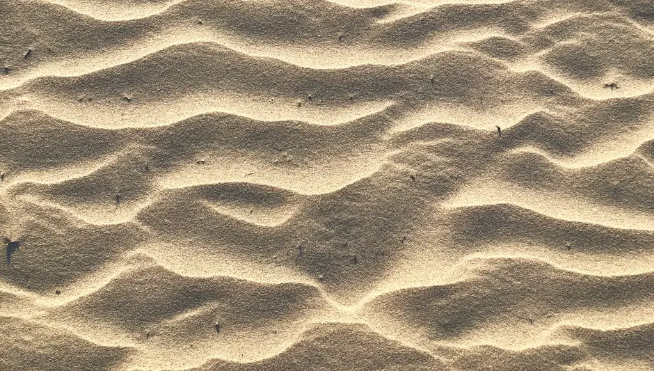 will grass grow in sand