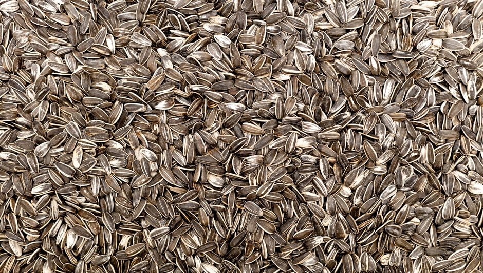 are raw sunflower seeds better than roasted