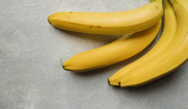 are banana peels good fertilizer for plants