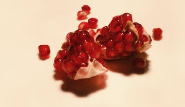 how to juice a pomegranate with the seeds