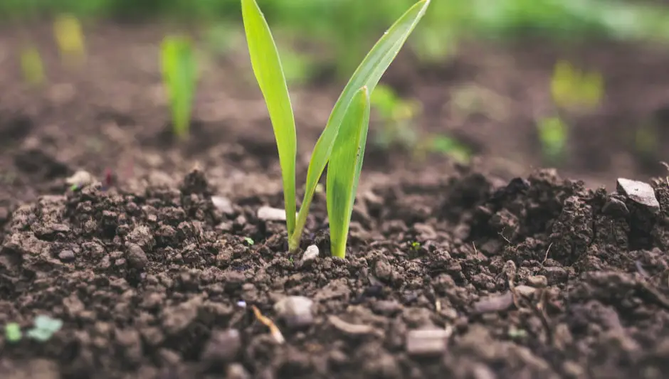 how to use garden soil
