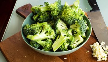 how to grow broccoli sprouts from seeds