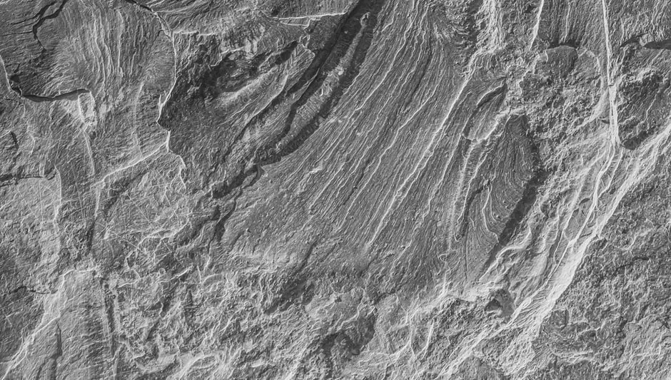 How Much Do Landscape Boulders Cost? (Important Facts)