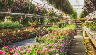 how to build a walipini greenhouse