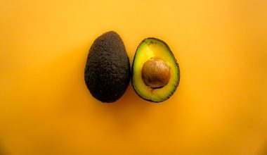 how to make avocado oil from seed