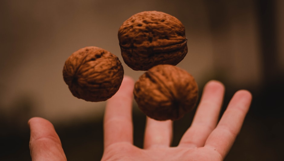 how to harvest walnuts from a walnut tree