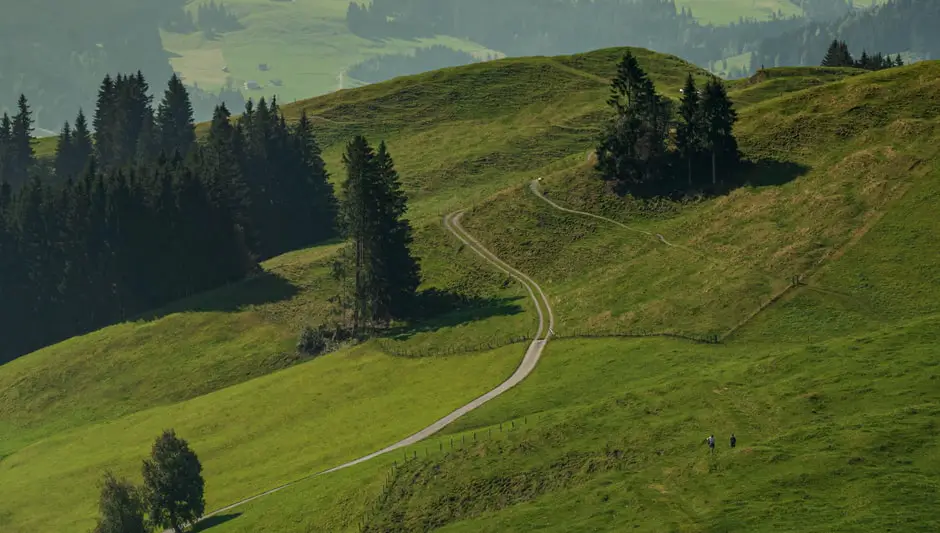 how to landscape a hill