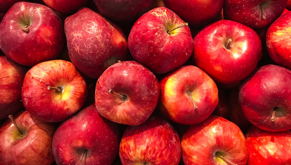 when to harvest apples in michigan