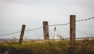 can landscape timbers be used as fence posts