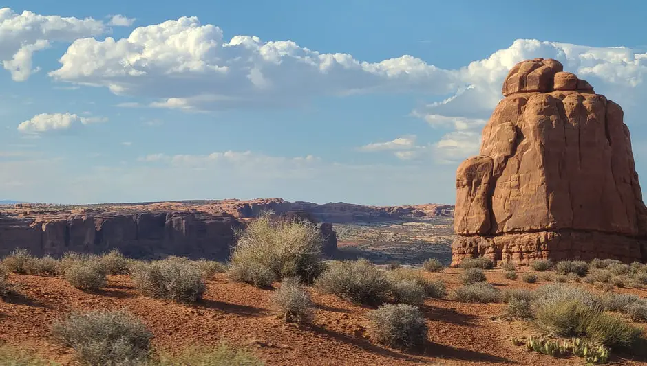 how do you clean white landscape rocks