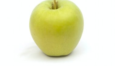 is it ok to eat apple seeds