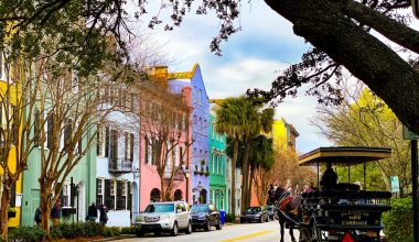 do lemon trees grow in south carolina