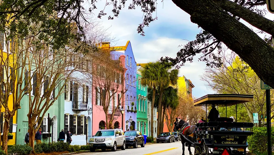 do lemon trees grow in south carolina