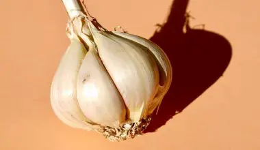 how to grow garlic indoors