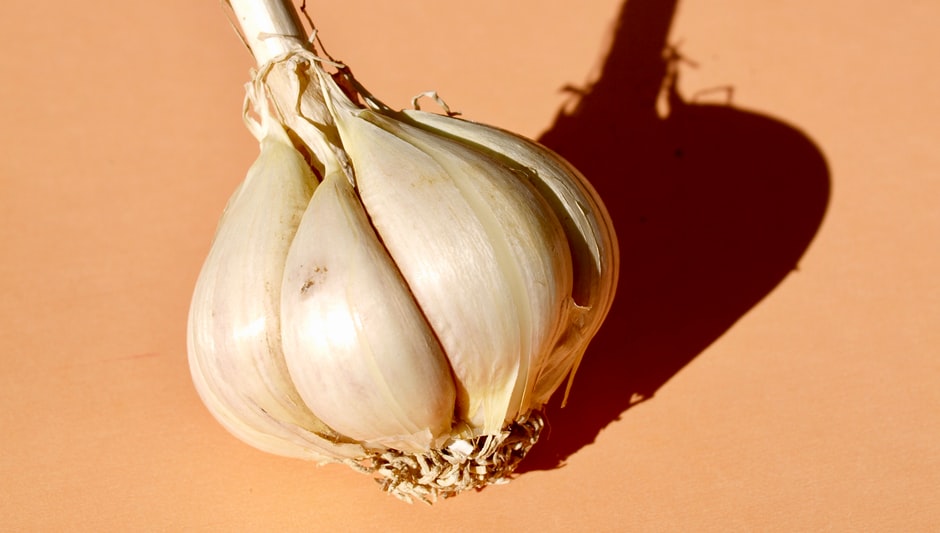 how to grow garlic indoors