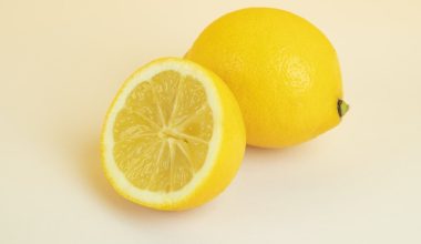 do lemon trees self pollinate