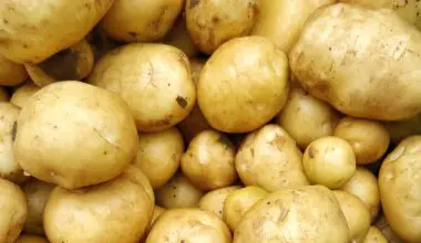 how tall do potato plants grow