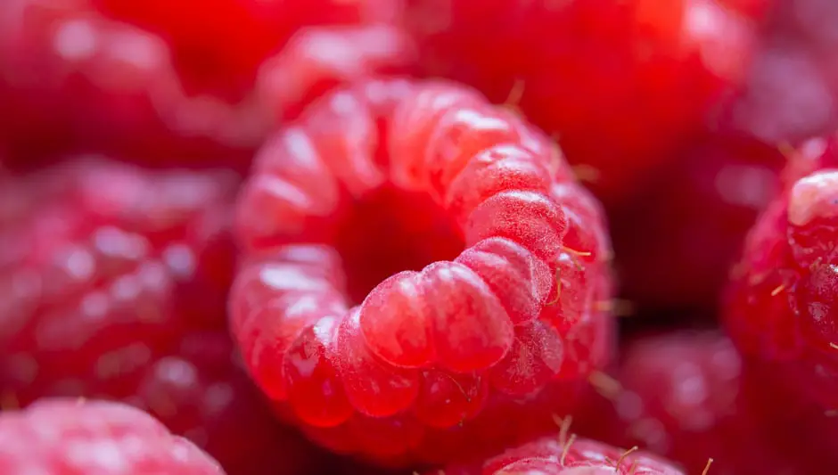 how to grow raspberries in a pot