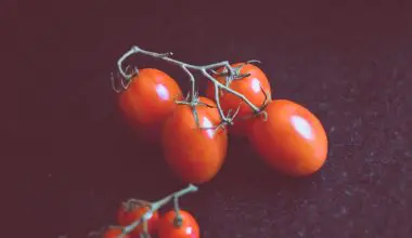 how do you prune cherry tomatoes