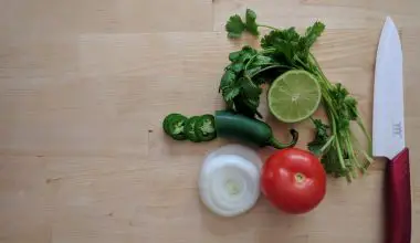 how to grow cilantro hydroponically