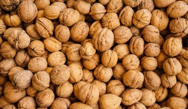 how to grow a walnut tree uk