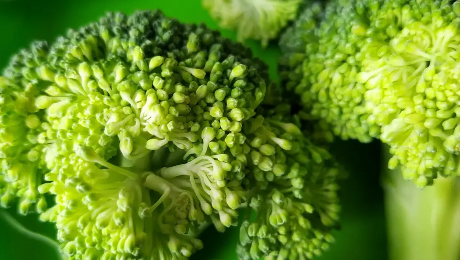 how to plant broccoli sprout seeds