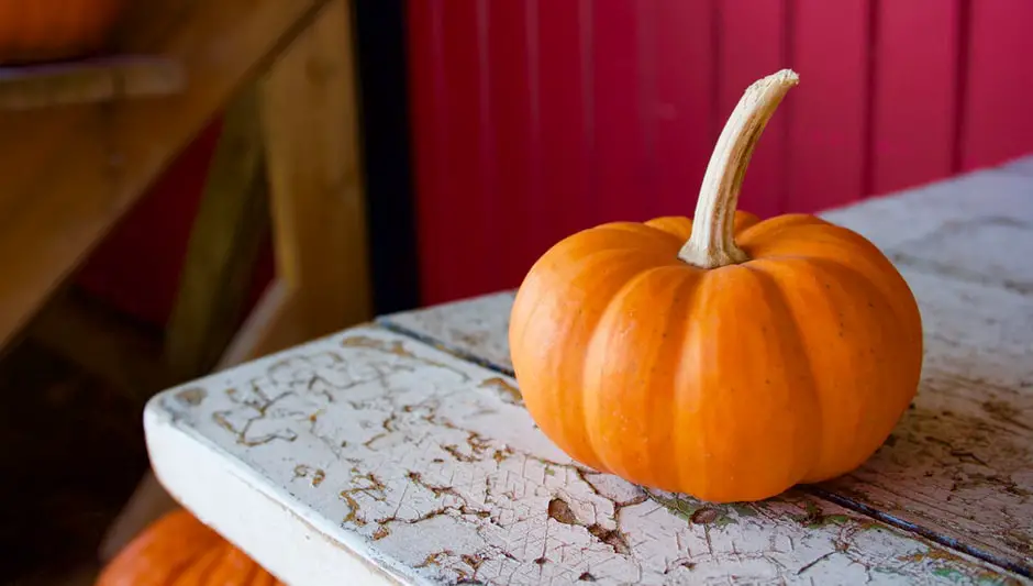 how long should pumpkin seeds bake for