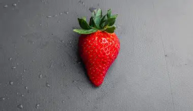 how big do strawberry plants grow