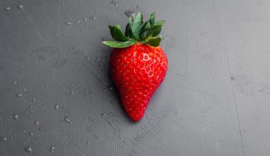 how big do strawberry plants grow