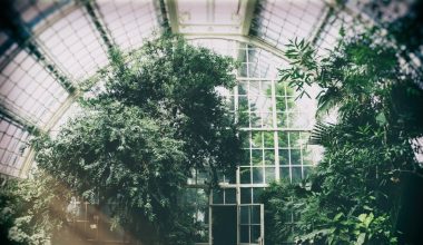 how to convert a greenhouse into a shed